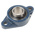 2 Hole Flange Bearing Unit 45mm ID