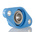 2 Hole Flange Bearing Unit, F2BC 20M-TPSS, 20mm ID