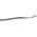 Belden 2 Core Line level Low Voltage signal Cable, 0.35 mm² CSA, 4.27mm od, 152m, Grey