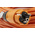 brennenstuhl 25m 1 Socket Schuko Extension Lead, 230 V ac, IP44