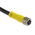 Brad from Molex Straight Female 4 way M8 to Unterminated Sensor Actuator Cable, 2m