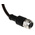 binder Straight Female 4 way M12 to Unterminated Sensor Actuator Cable, 5m