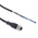 Telemecanique Sensors Straight Female 4 way M12 to Unterminated Sensor Actuator Cable, 5m