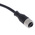 Telemecanique Sensors Straight Female 4 way M12 to Unterminated Sensor Actuator Cable, 10m