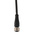 Brad from Molex Straight Female 5 way M12 to Unterminated Sensor Actuator Cable, 2m