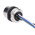 Phoenix Contact Female 5 way M12 to Sensor Actuator Cable, 500mm