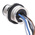 Phoenix Contact Straight Male 5 way M12 to Sensor Actuator Cable, 500mm
