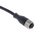 Telemecanique Sensors Straight Female 5 way M12 to Unterminated Sensor Actuator Cable, 5m