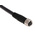 Binder Straight Female M8 to Unterminated Sensor Actuator Cable, 2m