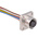 Binder Female 8 way M12 to Unterminated Sensor Actuator Cable, 200mm