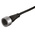 Brad from Molex Straight Male 4 way M12 to Unterminated Sensor Actuator Cable, 2m