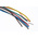 Brad from Molex Straight Female 8 way M12 to Unterminated Sensor Actuator Cable, 300mm