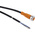 ifm electronic Female M12 to Unterminated Sensor Actuator Cable, 2m