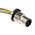 Phoenix Contact Male 8 way M12 to Sensor Actuator Cable, 500mm