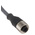 Alpha Wire Straight Female 4 way M12 to Unterminated Sensor Actuator Cable, 3m