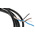 Lumberg Automation Straight Female 4 way M12 to Unterminated Sensor Actuator Cable, 2m