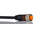 Lumberg Automation Straight 12 way M12 to Unterminated Sensor Actuator Cable, 5m