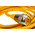 Turck Straight Male 4 way 7/8 in Circular to Unterminated Sensor Actuator Cable, 10m