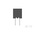 TE Connectivity AMPMODU Series Straight Through Hole Mount PCB Socket, 12-Contact, 2-Row, 2mm Pitch, Solder Termination