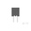 TE Connectivity AMPMODU Series Straight Through Hole Mount PCB Socket, 8-Contact, 2-Row, 2mm Pitch, Solder Termination