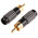 RS PRO Black Cable Mount RCA Plug, Gold