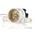Gems Sensors RFO Series RotorFlow Electronic Flow Sensor for Liquid, 2 L/min Min, 20 L/min Max