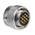 Amphenol Limited, 62GB 10 Way Cable Mount MIL Spec Circular Connector Plug, Socket Contacts,Shell Size 12, Bayonet