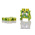 Phoenix Contact UT 10-PE Series Green/Yellow DIN Rail Terminal Block, 0.5 → 16mm², Single-Level, Screw