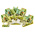 Phoenix Contact PTTBS 2.5-PE Series Green/Yellow Double Level Terminal Block, 0.14 → 4mm², Double-Level, Push In