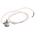 Hengstler RI32 Series Incremental Incremental Encoder, 100 ppr, Push Pull Signal, Solid Type, 6mm Shaft