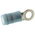 TE Connectivity, PIDG Insulated Ring Terminal, M3.5 Stud Size, 1mm² to 2.6mm² Wire Size, Blue