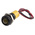 RS PRO Yellow Panel Mount Indicator, 220V ac, 14mm Mounting Hole Size, Lead Wires Termination, IP67