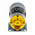 RS PRO Brushed Geared DC Geared Motor, 1.31 W, 12 V dc, 10 Ncm, 66 rpm, 4mm Shaft Diameter