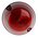 Moflash LED100 Series Red Multiple Effect Beacon, 20 → 30 V, Surface Mount, Wall Mount, LED Bulb, IP65