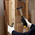 Stanley Steel Claw Hammer with Fibreglass Handle, 300g