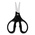 Bernstein 190 mm Ceramic Laboratory Scissors