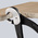 Knipex 200 mm Parrot Beak Pincers for Medium Hard Wire