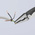 Knipex 13 91 200 Pliers, 200 mm Overall, Straight Tip