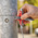 Knipex Diecast Zinc 9-way Universal Key, 5 → 11 mm Capacity