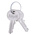 Rittal 2-way Spannerlock Key