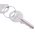 Rittal 2-way Spannerlock Key