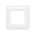 Legrand White 2 Gang Faceplate & Mounting Plate