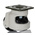 RS PRO Swivel Castor Wheel, 1000kg Capacity, 75mm Wheel