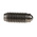 RS PRO M5 Spring Plunger, 12.9mm Long