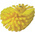 Vikan Medium Bristle Yellow Scrub Brush, 40mm bristle length, Polyester, Polypropylene, Stainless Steel bristle material
