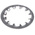 A2 304 Stainless Steel Internal Tooth Shakeproof Washer, M16, DIN 6797J