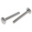 Plain Stainless Steel Coach Bolt, M6 x 50mm