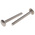 Plain Stainless Steel Coach Bolt, M6 x 60mm