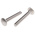 Plain Stainless Steel Coach Bolt, M10 x 70mm