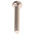 RS PRO Slot  Cheese Head Brass Machine Screws DIN 84, M3x16mm